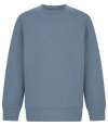 SM530 SF Clothing Kids Sustainable Fashion Curved Hem Sweatshirt Stone Blue colour image